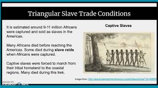 Columbian Exchange and Triangular Slave Trade [upl. by Nide963]