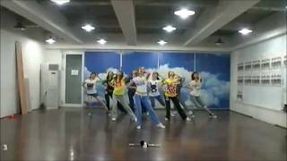 Genie Mirrored Dance Practice  SNSD 소녀시대 [upl. by Aloap962]