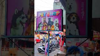 Dog food Drools minivlog bhimavaramvlogsbabbydogfood doglover bhimavaram pets simbasara [upl. by Izak]