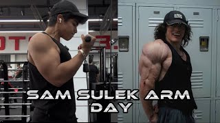 Sam Sulek Arm Day  En iyi Antrenman Programını Buluyorum 2 [upl. by Leontyne955]