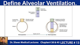 Define Alveolar Ventilation CH  38 amp 40 LEC  13 [upl. by Ariec157]