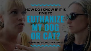 How Do I Know if it is Time to Euthanize my Dog or Cat Vlog 102 [upl. by Racso]