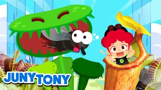 InsectEating Plants  Some Plants Eat Bugs  The Monster Plants  Kids Songs amp Stories  JunyTony [upl. by Nyrad]