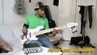 Reporte casero  Lakland DJ5 [upl. by Staci637]