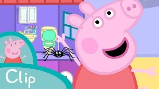 Peppa  La araña clip [upl. by Thamos]