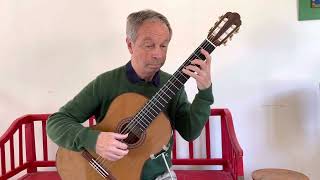 World’s most beautiful guitar piece Agustin Barrios18851944Julia Florida GSöllscher guitar [upl. by Racso]