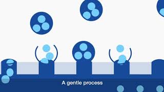 An Introduction to Micropores Emulsification Technology [upl. by Nylram]