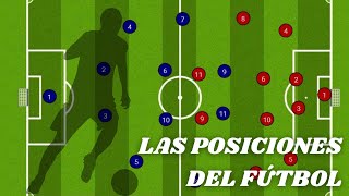 LAS POSICIONES EN EL FÚTBOL  Características funciones y roles de los jugadores de fútbol [upl. by Maude]