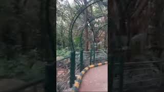 Bulls temple  Bangalore travel  park relaxationtime kids video entertainmentvideo entertainm [upl. by Clie]