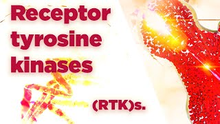 Receptor tyrosine kinases  RTKs  Cell Signaling [upl. by Radmen]