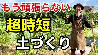 【夏に最適】たったこれだけで土がどんどんよ良くなります。 【カーメン君】【園芸】【土壌改良】【初心者】 [upl. by Sylvanus]