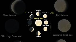 Phases of Moon  Moon  Full Moon  New Moon  Waxing Crescent  Waning Gibbous  Night Sky  Space [upl. by Meadow998]