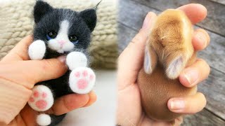 AWW Animals SOO Cute Cute baby animals Videos Compilation cute moment of the animals 4 [upl. by Jerrine424]