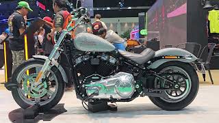 2024 Harley Davidson SOFTAIL STANDARD [upl. by Alvira]