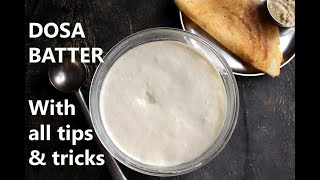 DOSA BATTER RECIPE  HOW TO MAKE DOSA BATTER  HOME with tips and tricks [upl. by Nihahs]