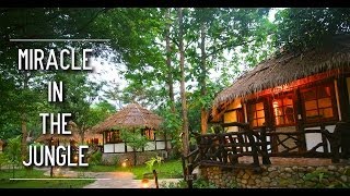 Best Thailand Jungle Resort near Lawa Cave in River Kwai  Kanchanaburi  River Kwai Resotel Resort [upl. by Cornwall]