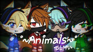 Ppg × Rrb ●Animals●•GLMV• [upl. by Anthiathia769]