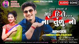 રાખજે વીસ વાસ દીલ તોડી ને ના જાતી‼️ Vishnu BHIL padvani‼️adivasi new 2025 timli song 🎶 romantic song [upl. by Eirrod]