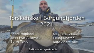 Ålesund  Torsk og skreifiske i Borgundfjorden 2021  Norway  Bukkholmen Rorbu Ålesund [upl. by Zimmermann]