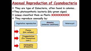 Plant Reproduction  Reproduction of Prokaryotes [upl. by Lednam454]