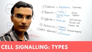 Types of Cell Signaling  Endocrine Paracrine Autocrine and Juxtacrine [upl. by Annahahs101]