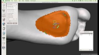 Foot Orthotics for Gensole Using Meshmixer [upl. by Alur]