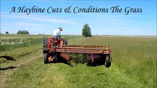 Cutting Grass Hay With a Haybine [upl. by Ahcire]