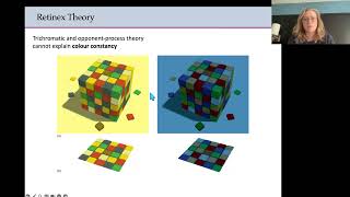 Biopsychology  Colour theories [upl. by Eekorehc]