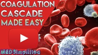 Coagulation Cascade SIMPLEST EXPLANATION  The Extrinsic and Intrinsic Pathway of HEMOSTASIS [upl. by Schaaff]