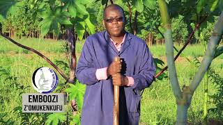 CASTOR SEEDS CULTIVATION AND COMMERCIAL STATUS WITH OMUKENKUFU NYANZI JULIUS Part 2 [upl. by Marelda]