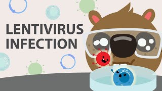 Lentivirus Transduction Protocol Infecting your target cells [upl. by Yenolem181]