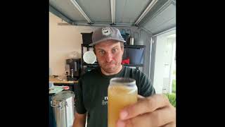 Brewing a NZ Hoppy Pilsner on the brewzilla with Motueka and Cashmere [upl. by Enerol]