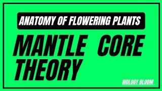 Mantle Core Theory  Anatomy of Flowering Plants  Biology Bloom [upl. by Razec737]