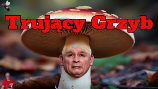 Trujący Grzyb 🍄 [upl. by Viridi]