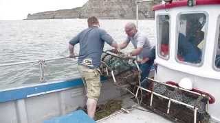 Holy Mackerel Fishing and Foraging off the Coast of North Yorkshire [upl. by Ivel522]