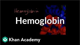 Hemoglobin  Human anatomy and physiology  Health amp Medicine  Khan Academy [upl. by Oel]