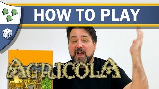 How to Play Agricola [upl. by Arba251]