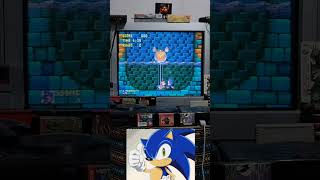 Boss Time sonicthehedgehog segagenesisclassics [upl. by Hsetirp]