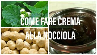 CREMA ALLA NOCCIOLA  Fai da te Cucina [upl. by Ailaro]