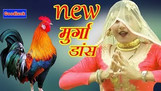 असमीना का न्यू मुर्गा डांस Mewati song asmina  Goodluck Media [upl. by Acirred]