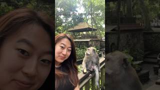 Monkey Forest in Bali Indonesia [upl. by Lothario756]