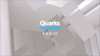 Falsche Erinnerung Quarks Radio WDR 5 25032024 [upl. by Ronnica]