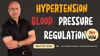 Hypertension  Blood Pressure Regulation  Hypotension [upl. by Keithley461]