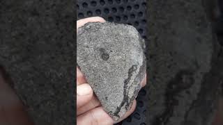 Lunar basalt Found in 2024 lunarbasalt lunarmeteorite meteorite [upl. by Chadbourne928]