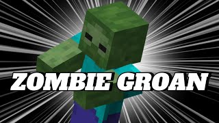 MINECRAFT ZOMBIE GROAN SOUND 1 HOUR [upl. by Levine168]