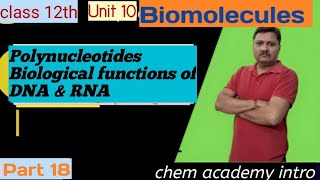 Class 12th Unit 10 ●Biomolecules● Polynucleotides Biological functions of DNA amp RNA [upl. by Callery163]