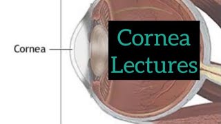 Cornea lectures part 5 Eye  opthalmology lectures eyelectures opthalmology eye cornea [upl. by Eelik]