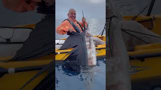 Kayak Fishing Sailfish in Florida kayakfishing florida billfish fishinglife outdoors [upl. by Ocisnarf342]