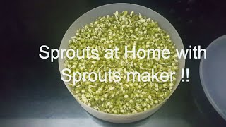 Kitchen Ideas  One Step Sprouts Making in Anjali Sprout Maker  How to Sprout pulses at home [upl. by Sinnoda]