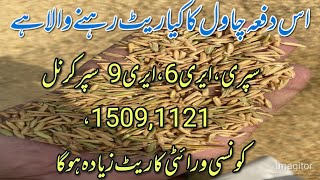 Rice rate list season 202425rice prices increase in pakistanlocal farmers [upl. by Andeee]